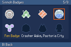 The Sinnoh badge case with eight badges