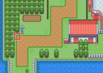 The map at Route 110, with the tile to face framed in red