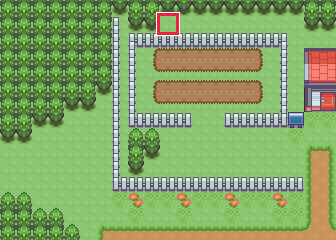 The map at Route 123, with the tile to face framed in red