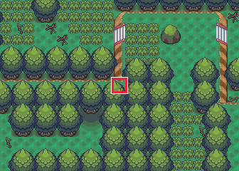 The map at Petalburg Woods, with the tile to face framed in red