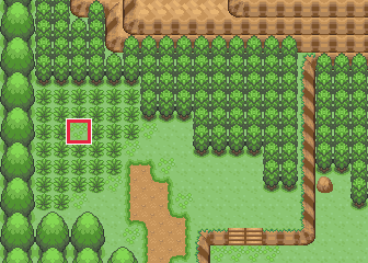 The map at Safari Zone · Northwest, with the tile to face framed in red