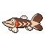Arrokuda sprite
