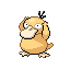 Psyduck sprite